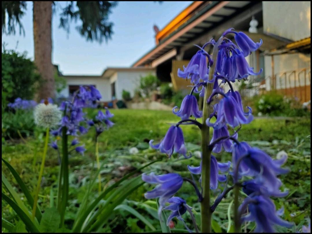Goldstueck Im Gruenen Apartamento Bad Schonborn Exterior foto